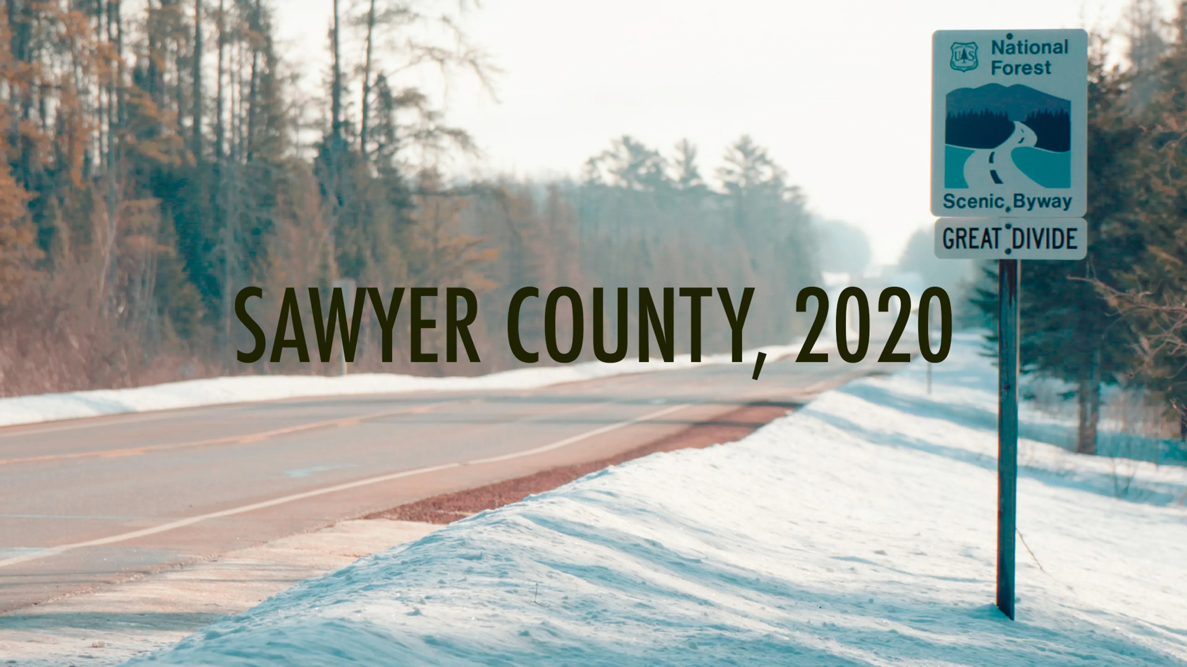 Sawyer County, 2020 poster